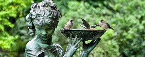 birds in the secret garden - birds in statue bird bath