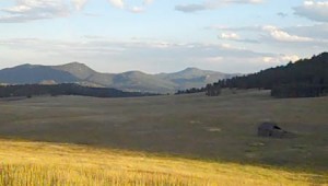 means meadow in the fall